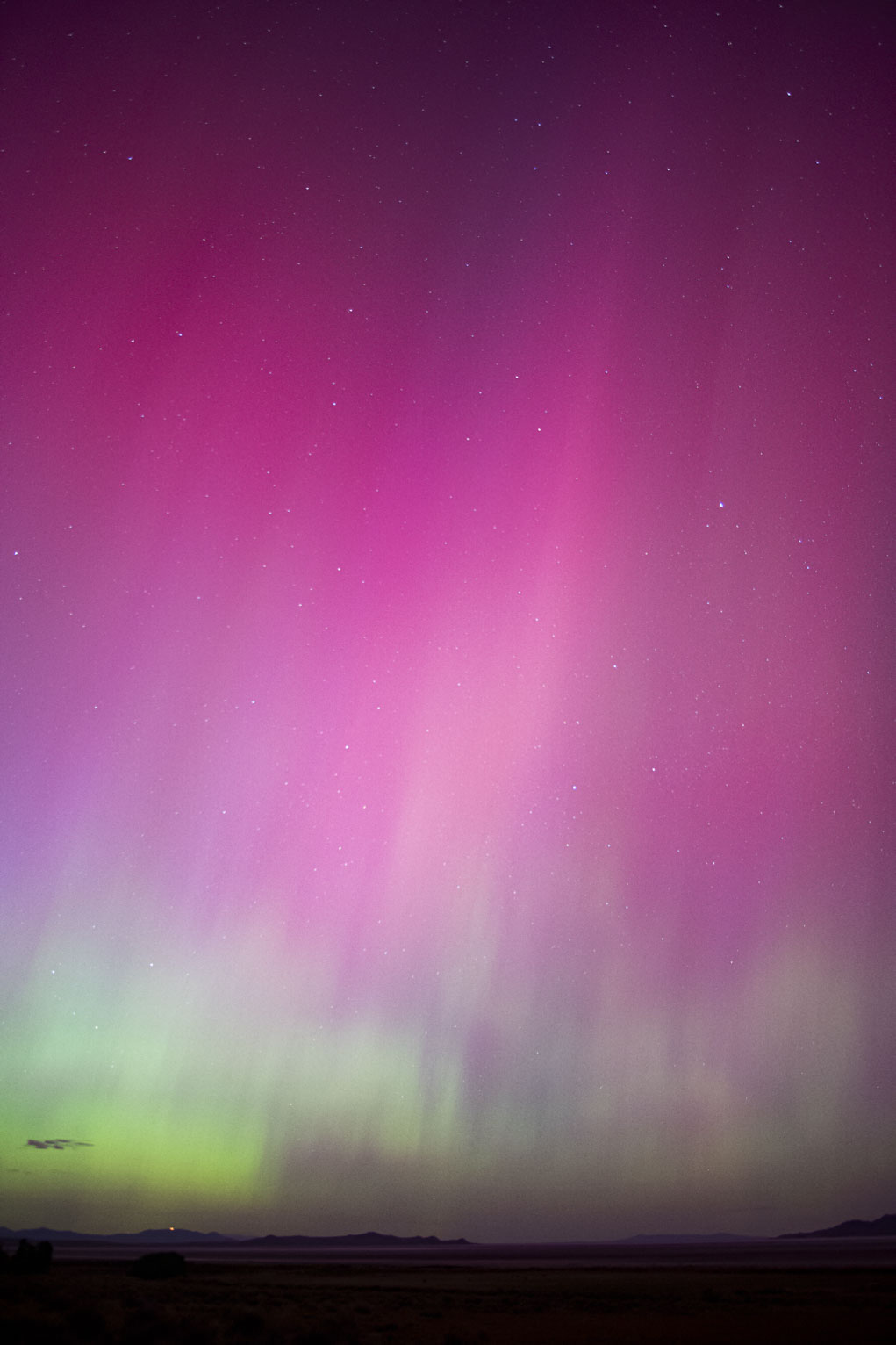 Bendy bright green aurora topped with bright pink